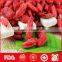 Bulk dried goji berries with wholesale price