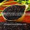 GMP Manufacture Supply Black Rice Extract Anthocyanidins