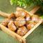 top quality chestnuts for sale