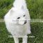 Plush custom plush dog toy siberian husky puppy for sale