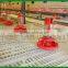 Husbandry Poultry Equipment Sale / Price