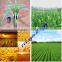 phosphorus foods
