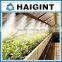 TY1411 Garden Warter Misting System