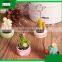 cheap mini resin cartoon plant pot cactus photo name business card holder