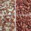 Engineer oversea service available peanut sorter
