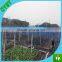 Wholesale HDPE plastic bird net / bird trapping net /plastic tree protection mesh