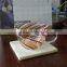 10x10cm honed and polished popular good selling natural granite coaster