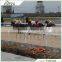 Hot Popuar Durable Equestrianism Galvanized Pipe Horse Fence Panels