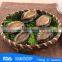 frozen abalone meat with shell