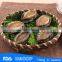 whole abalone in shells wholesale