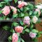 Artificial Rose Flower Interior Decoration Flower