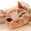 3D Print Cute Cat 2015 Halloween Product Cartoon Pillow Cushion