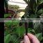 Hot Sale Fittings For Automatic Watering Drip Irrigation System