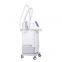 Top Sales Ems Weight Loss Fat Burn Body Slimming 2 Handles Machine On Promotion