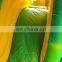 Jungle Play Park Inflatable Bouncer Jumping Bouncy Castle Commercial Playground
