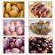 automatic commercial  potato peeler machine price / potato wash and peel / potato washing and peeling machine for sale
