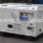 BISON(CHINA) BS12000SE 10kw 10kva Air-cooled Single Phase Diesel Generator