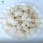 Tropical Fruit IQF Frozen Lychee