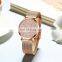HANNAH MARTIN CM36 Women Quartz Watches Gifts Fashion Metal Mesh Wristbands watches wrist luxury women movement