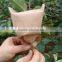 Peach fruit covering paper bag