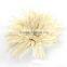 white feather decorations/ grizzly rooster feather/ cock feather