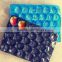 all types of plastic PP packing tray for fruit and vegetable