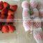 EPE colorful fruit and vegetable packaging foam nets