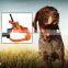 hot selling top quality TPU dog collar and leash