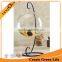 Terrarium Container Decor with Stand Hanging Glass Ball Vase Flower Plant Pot