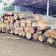 Vietnamese teak wood log