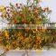 natural plants decorative with colorful wintersweet flowers