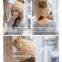 2015 new winter rabbit fur Korean female fashion warm winter fur hat                        
                                                Quality Choice