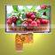 5.0 inch 800*480, ILI5960/ILI6122, 16/18/24 bit RGB interface, high brightness TFT LCD with touch panel, Stock for sale