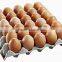 paper egg tray plant/ paper egg carton making machine