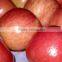 2015 Chinese Fresh sweet fuji apple with good quality
