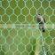 hexagonal wire netting/chicken fence ( electro galvanized/ hot dipped galvanized )