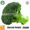 100% Pure Natural Pure Organic Broccoli Powder