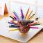 2016 new design wooden handmade hedgehog pen holder with 24 color pencil