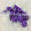 custom 6 sided dice