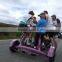 tandem bicycle four wheel surrey bike Seven-person tricycle