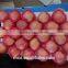 Chinese Red Fuji Apple Suitable for Long Time Shipment