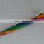 Cheap 10 Ribs Colorful Rainbow Style Long Umbrella