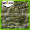 Golden supplier with pumpkin kernel(great quality and best price)