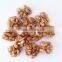 Top Grade A best quality walnut for sale to all over the world with marketing price