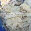 Dried salted cod fish fillet price marine fish exporter