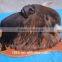 Animal Head Wall Decoration Taxidermywall Mounted Yak Head