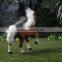 New Simulation War Horse Toy Unicorn Plastic Figurines