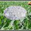 Ammonium Sulphate Steel Grade Ammonium Sulfate