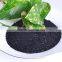 produce bulk high grade green Seaweed extract
