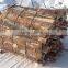 Professional wood hammer mill